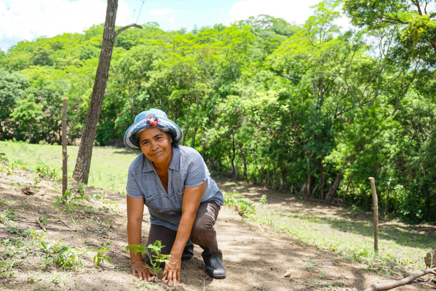 Taking Root Farmer Planting Trees in Nicaragua