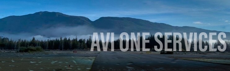 AVI ONE logo