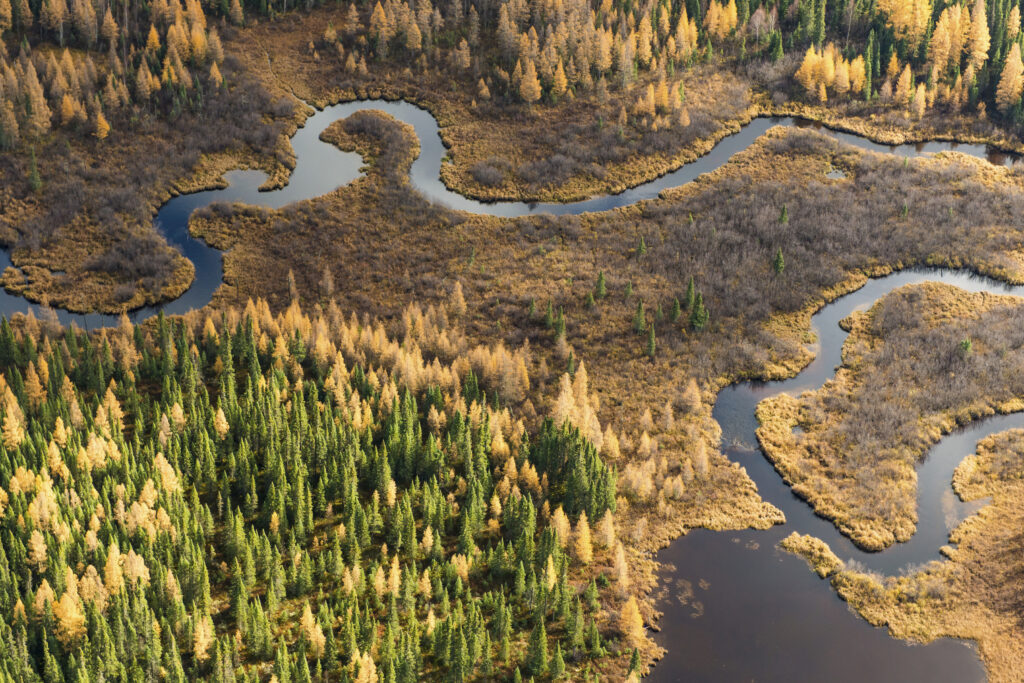 Overhead shot of a marshy landscape in Treaty 9 with a river winding through