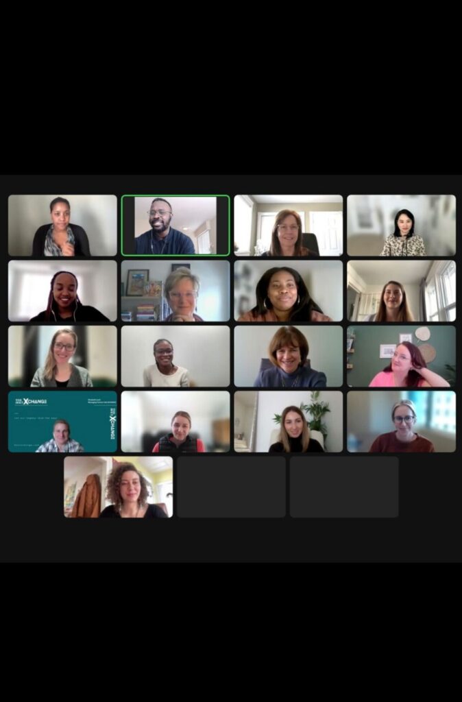 Screenshot of Zoom videoconference meeting with 13 people
