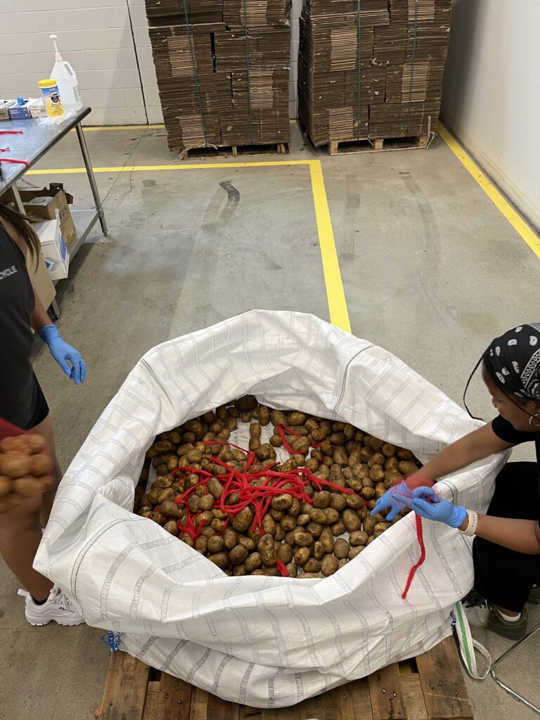 Spring staff filling a large bag full of bags of potatoes
