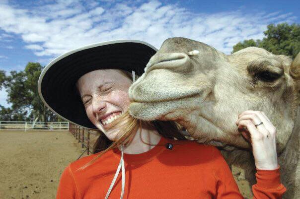 Erin wearing a hat and red shirt, smiling and snuggling up to a camel's head