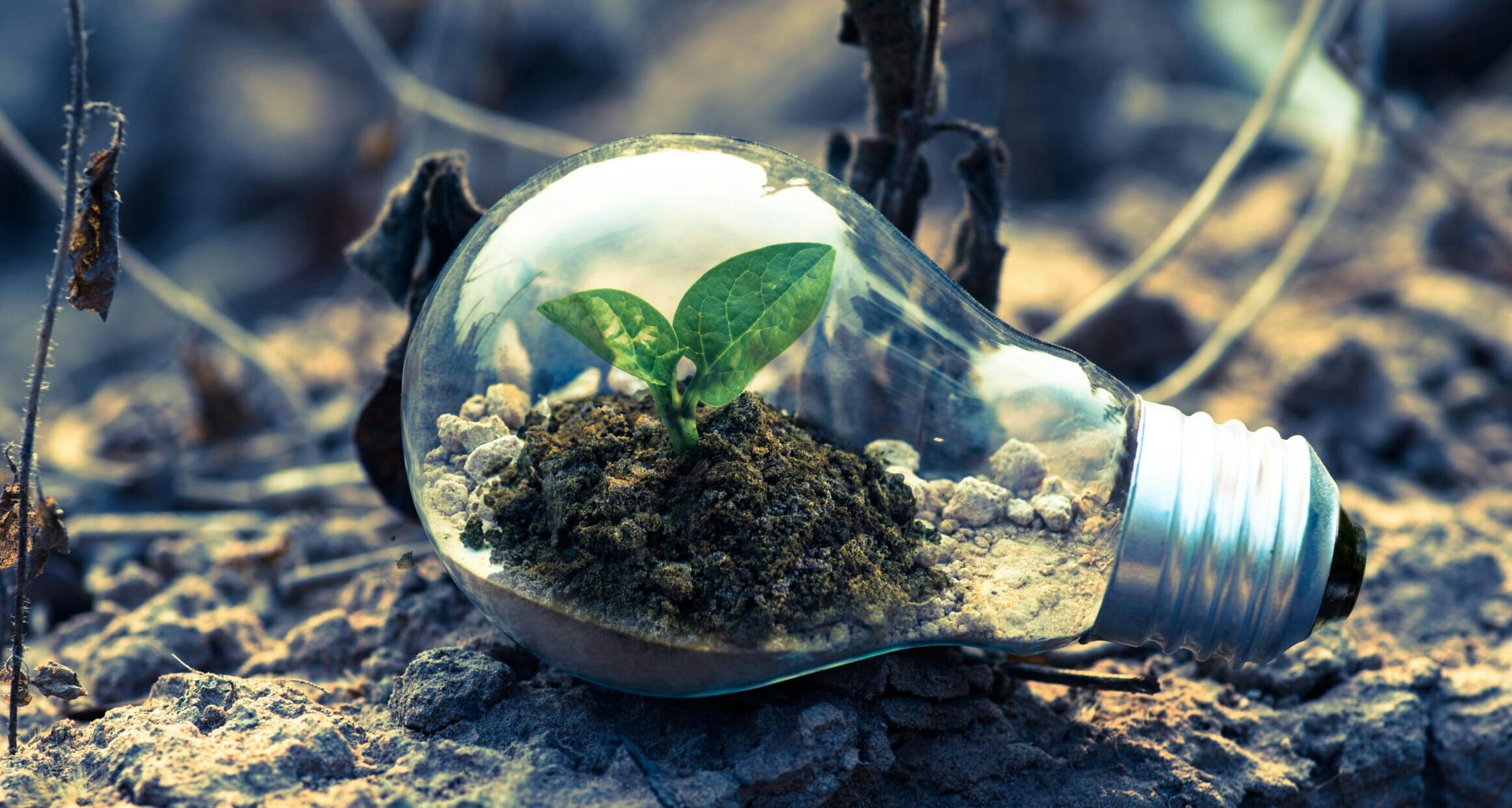 This image has an empty alt attribute, its filename is pexels-singkham-1108572-scaled-e1710364340751.jpg