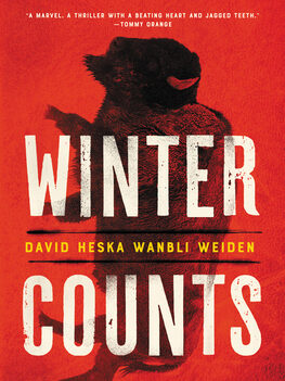 Winter Counts by David Heska Wanbli Weiden