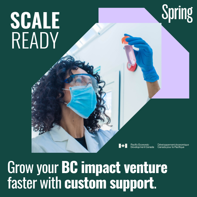 scale ready Spring's founder accelerator program