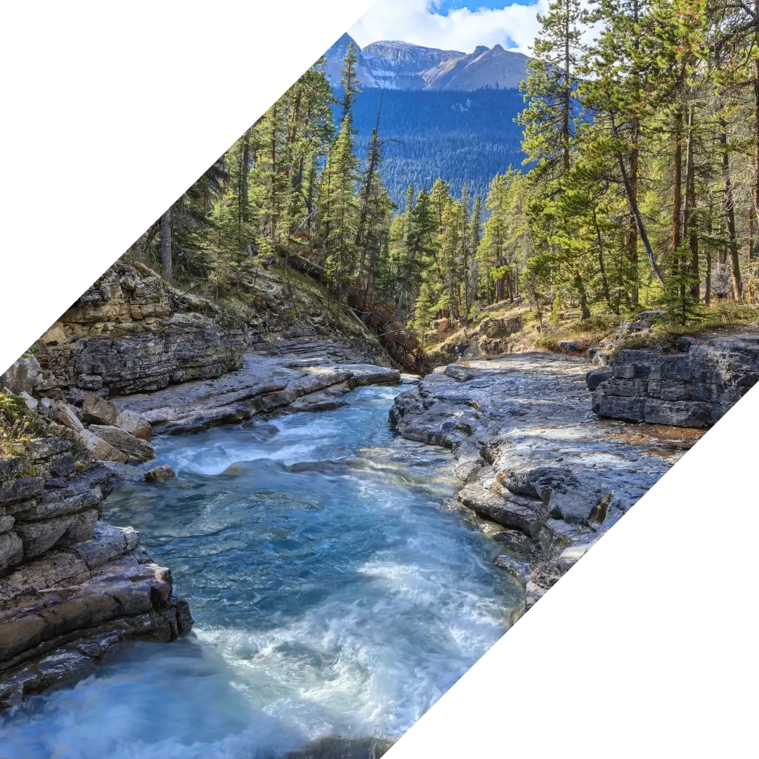 This image has an empty alt attribute, its filename is Copy-of-Spring-Brand-Shape-optimized.webp