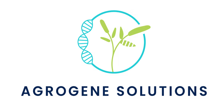 This image has an empty alt attribute, its filename is 5d0001_a81c027a44bb4cd1994f31ad94ae9b1fmv2.avif