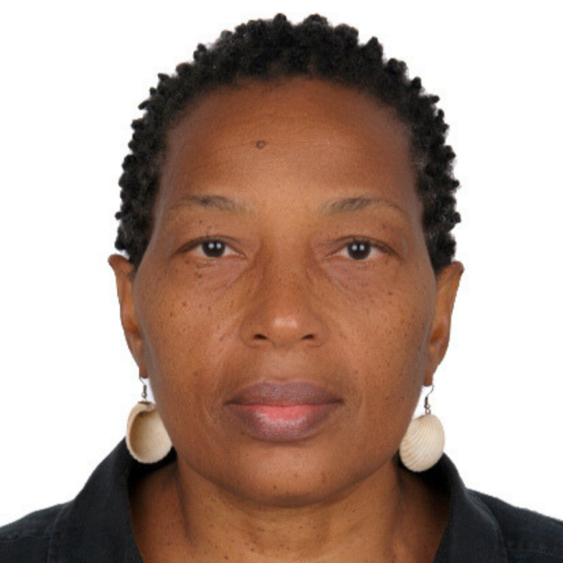 This image has an empty alt attribute, its filename is Afua-Asantewaa.png