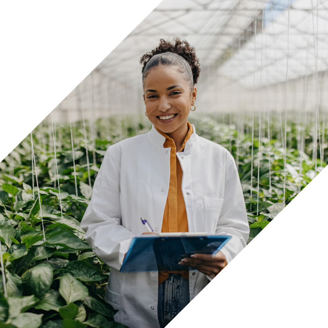 This image has an empty alt attribute, its filename is Copy-of-Spring-Brand-Shape-1.png